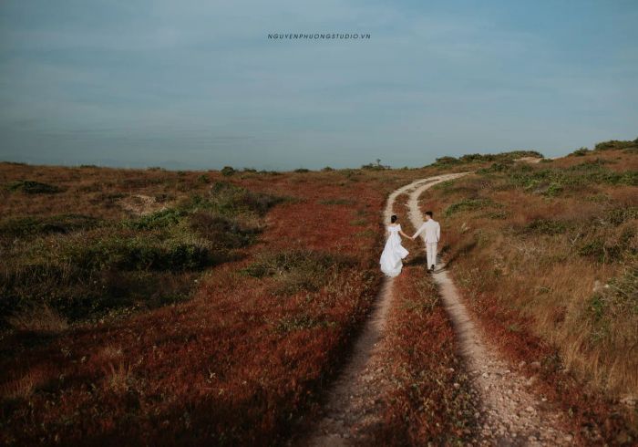 Album ảnh cưới ấn tượng tại Nguyễn Phương Studio