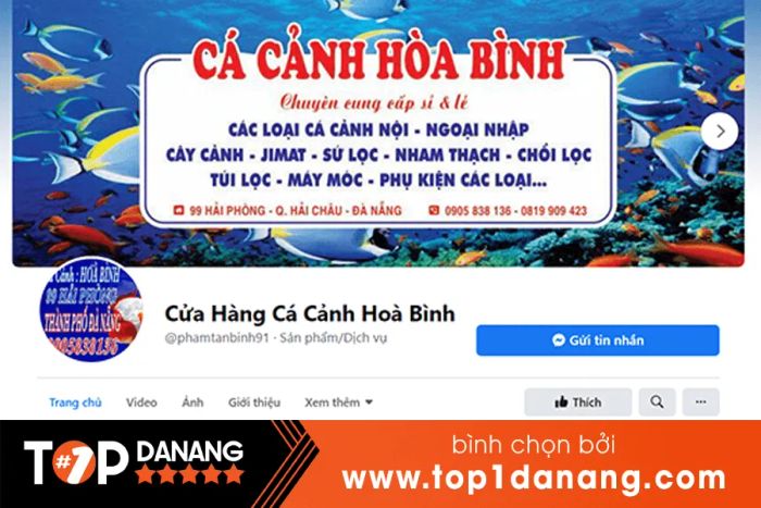 Bộ sưu tập tép cảnh đa dạng tại Cá Cảnh Hòa Bình