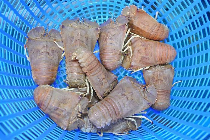 Gánh Hải Sản - Tươi ngon từ biển cả