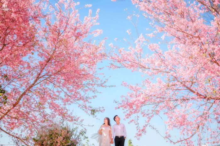 Bộ ảnh cưới phong cách Hàn Quốc đẳng cấp - TuArt Wedding