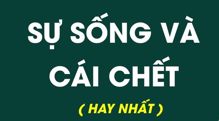 Minh họa (Nguồn từ internet) - hình ảnh 2
