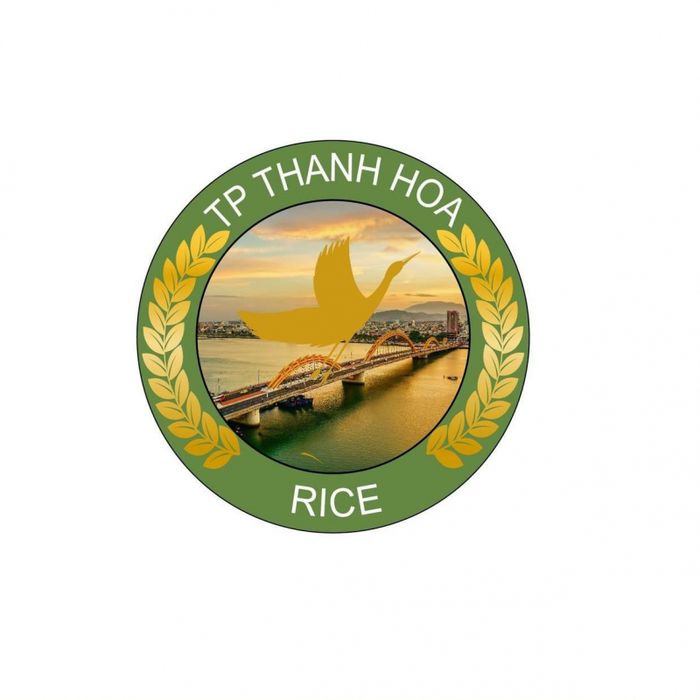 Hình ảnh Gạo Tươi Đặc Sản Ba Miền - Những hạt gạo trắng ngần, tinh khiết, kết tinh từ tâm huyết và chất lượng tuyệt vời.