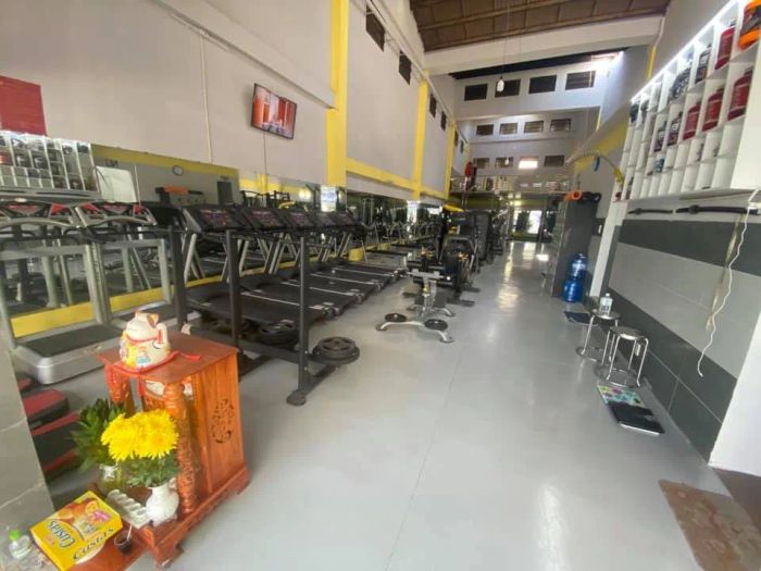 Hệ thống máy tập hiện đại tại Cửu Long GYM Bình Tân