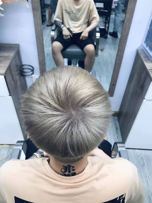Salon Phong Chilê - Bộ ảnh 1: Những tác phẩm tạo kiểu đầy nghệ thuật
