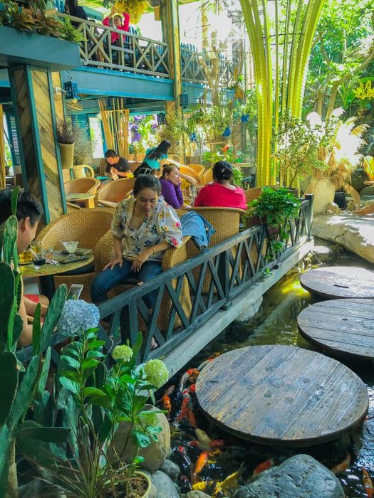 Hồ cá Koi rực rỡ tại Coffee Sky Garden
