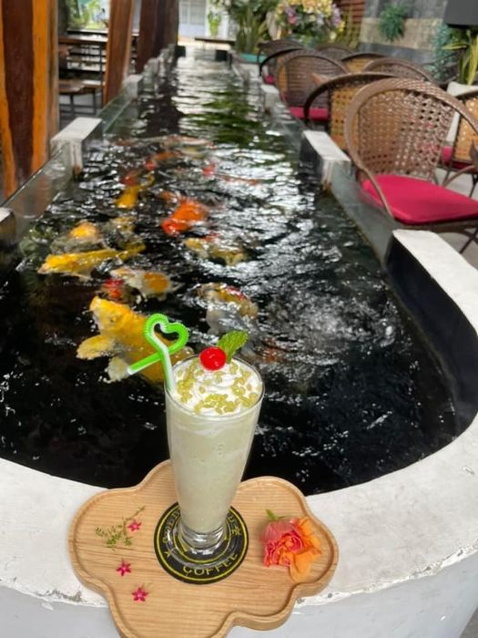 Hồ cá Koi rực rỡ tại Golden Land Coffee