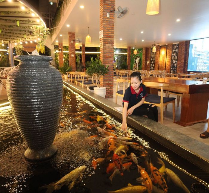 Hồ cá Koi lung linh tại Toàn Phát Coffee