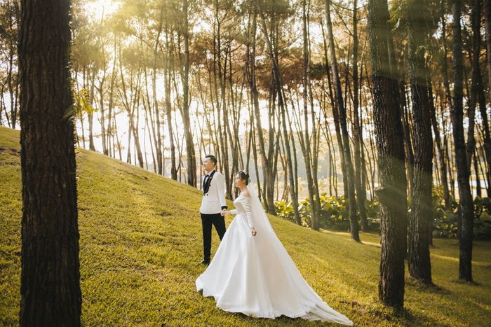 Tuyển tập ảnh cưới nghệ thuật từ Mimi Bridal
