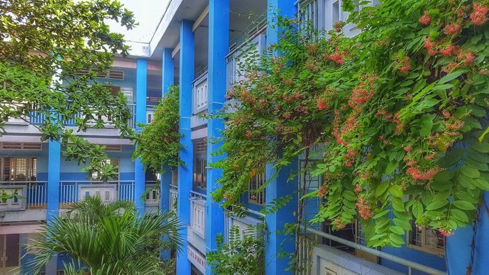 Hình ảnh nổi bật về ngôi trường THCS Võ Văn Tần