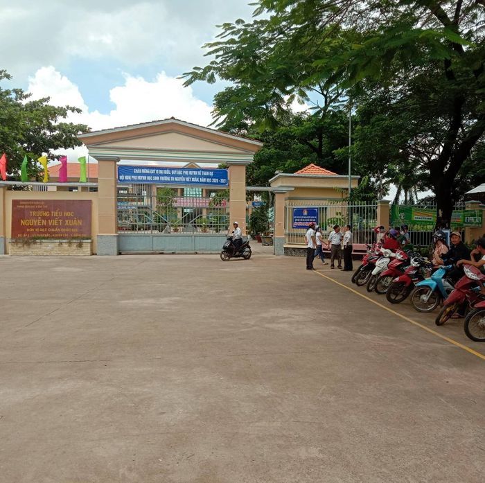 Hình ảnh Trường Tiểu học Nguyễn Viết Xuân - Khuôn viên xanh mát
