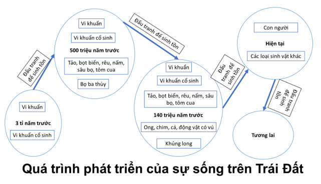 Minh họa (Nguồn từ internet) - hình ảnh 1
