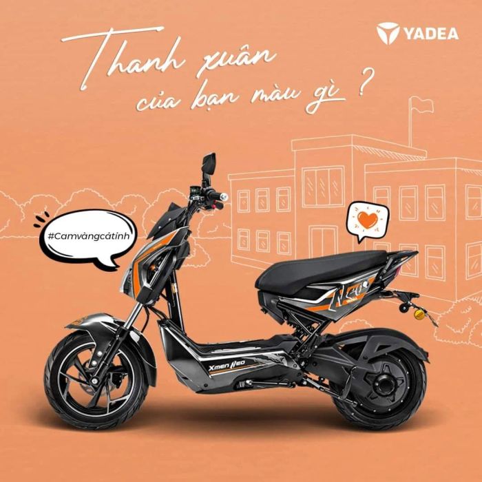 Không gian trưng bày đa dạng tại Xe điện Hòa Nhàn