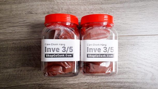 Hình ảnh Cám Thái Inve 3/5 - Thức ăn lý tưởng cho cá trưởng thành