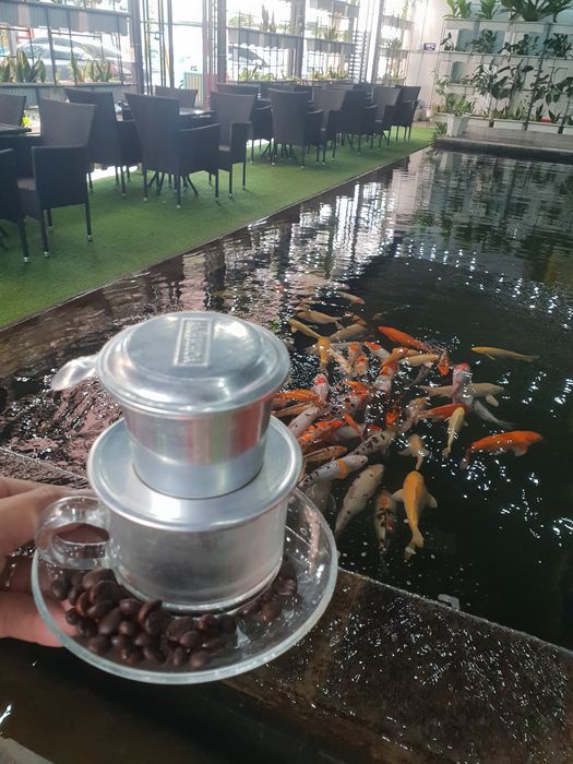 Không gian thư giãn đầy nghệ thuật tại Cà Phê Cá Koi Niceland
