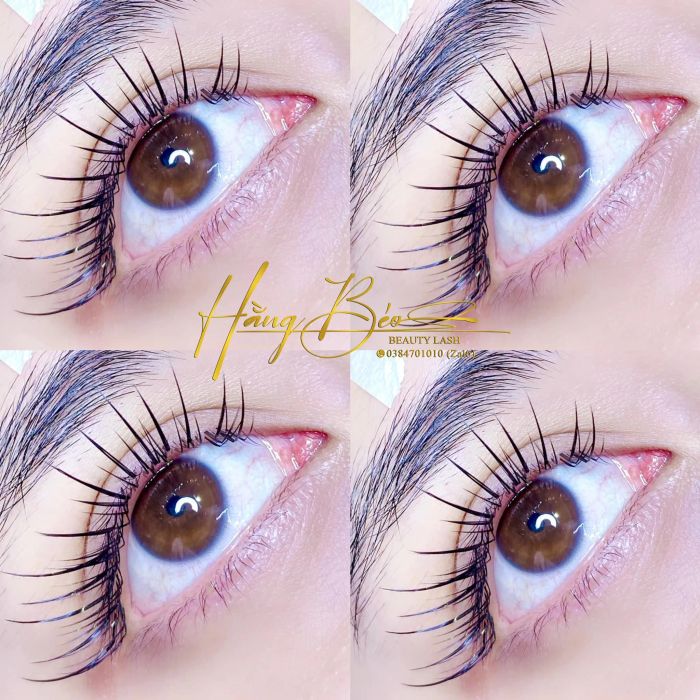 Hằng Béo Beauty Lashes ảnh 2