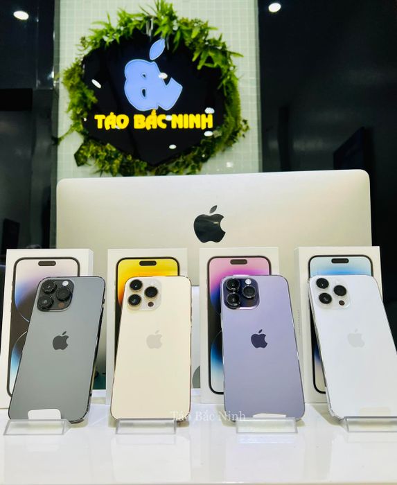 Khám phá thế giới iPhone tại Táo Bắc Ninh - Ảnh 1