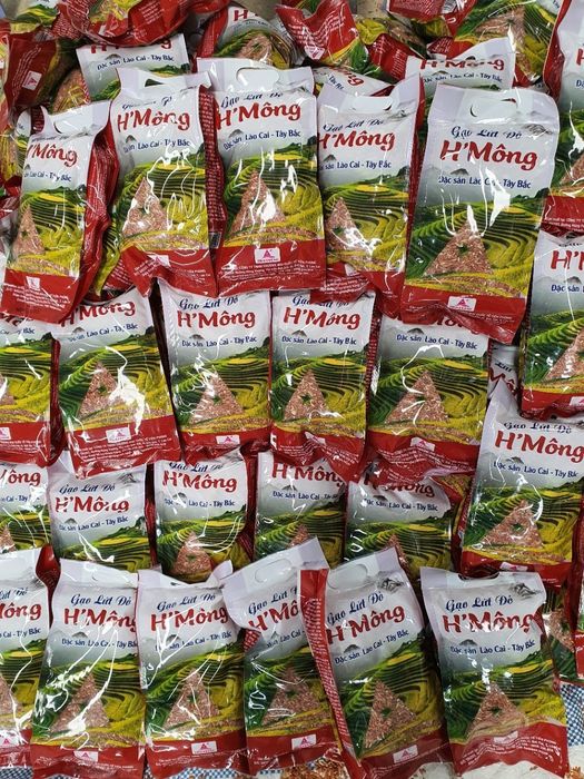 Hình ảnh Gạo Tươi Đặc Sản Ba Miền - Những hạt ngọc tinh khiết, chứa đựng tâm huyết và chất lượng tuyệt vời.