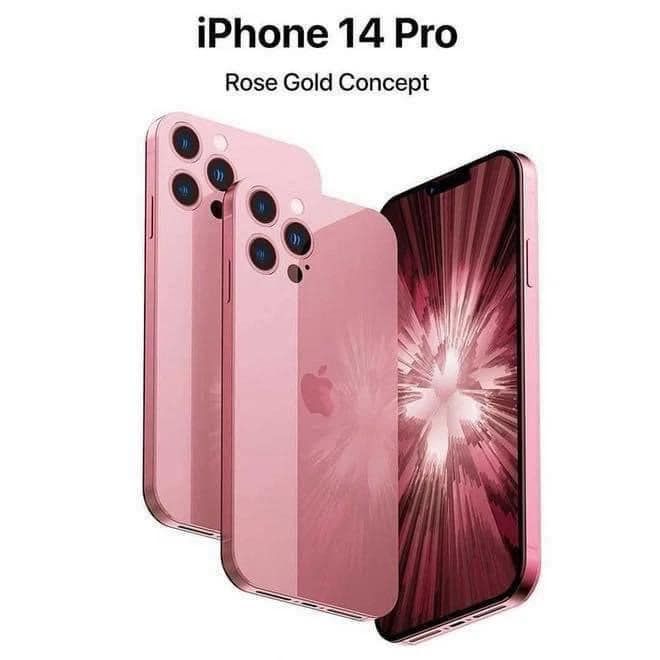 Khoảnh khắc giao dịch tận tâm tại Apple ONE - Ảnh 3