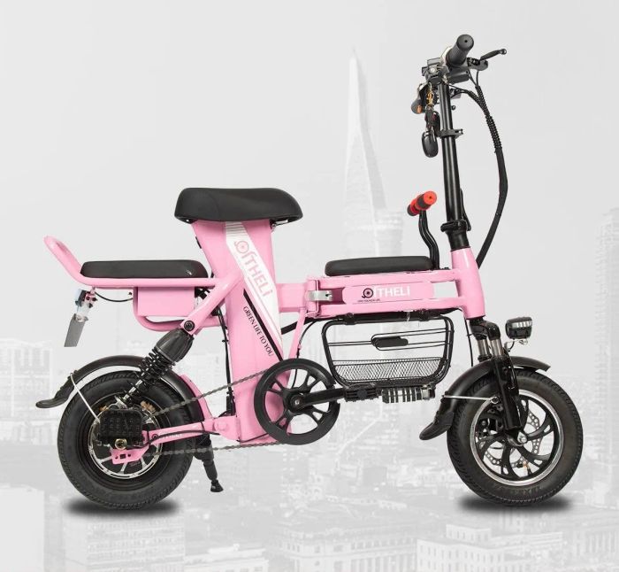 Hình ảnh ấn tượng về showroom Xe điện Đức Anh