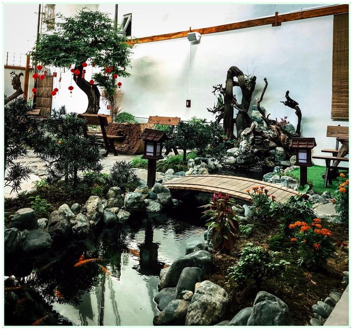 Hồ cá Koi rực rỡ tại Vũ Garden