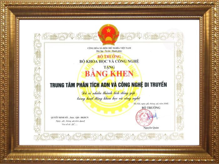 Mẫu thiết kế giấy khen sang trọng tại In Việt Dũng