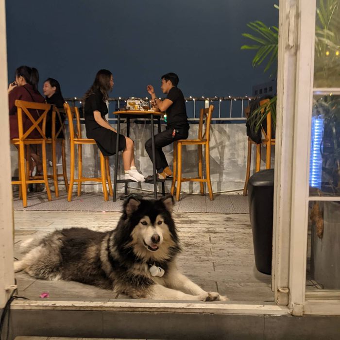 Góc sống ảo độc đáo với concept vũ trụ tại Aloha Poke and Beer