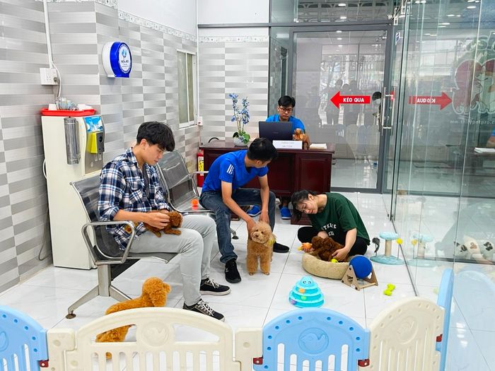 Hệ thống phòng điều trị hiện đại tại Bệnh Viện Thú Y PetPro