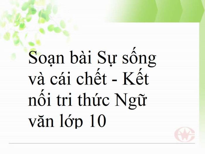 Hình ảnh minh họa (Nguồn từ internet) - Hình 2