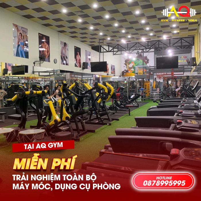 Hệ thống máy tập cao cấp tại AQ GYM