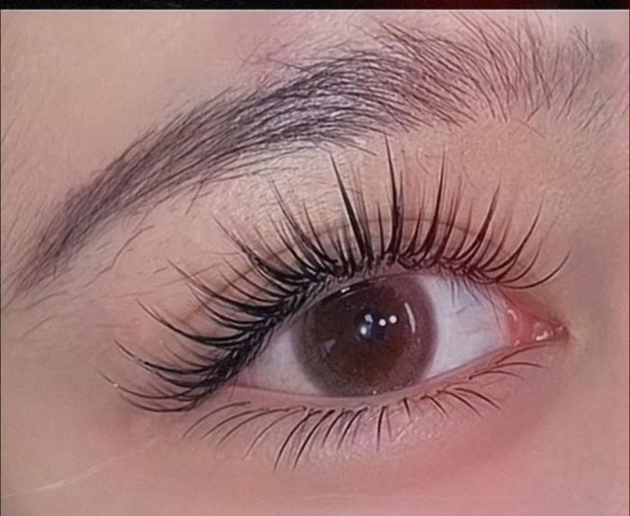 Lê Uyên (Beauty Academy) ảnh 2