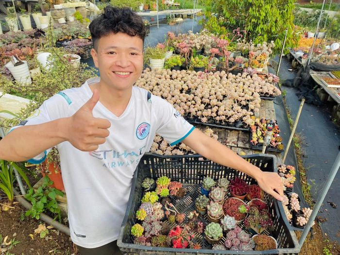 Khám phá vẻ đẹp độc đáo tại SONDA Garden