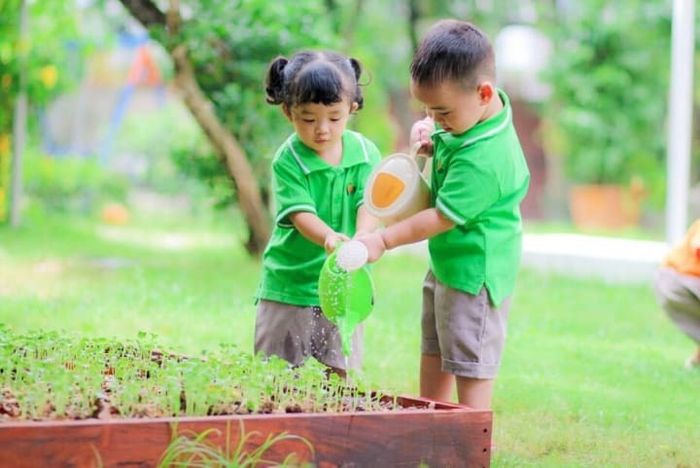 Trường Mầm Non 8 ảnh 2