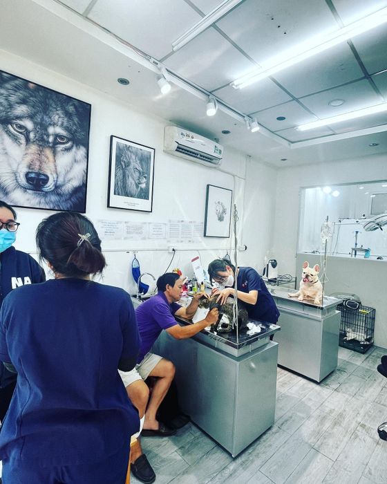 Hệ thống trang thiết bị y tế tiêu chuẩn tại Thú Y Sagovet