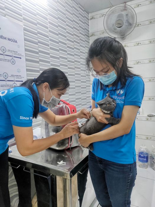 Hệ thống phòng khám và spa cao cấp tại PetPro