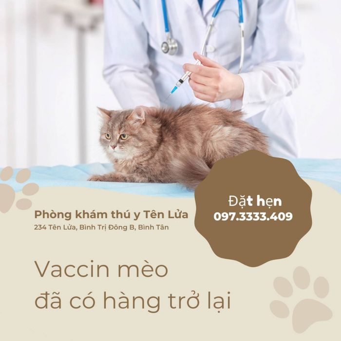 Không gian hiện đại và ấm cúng tại Phòng Khám Thú Y Tên Lửa