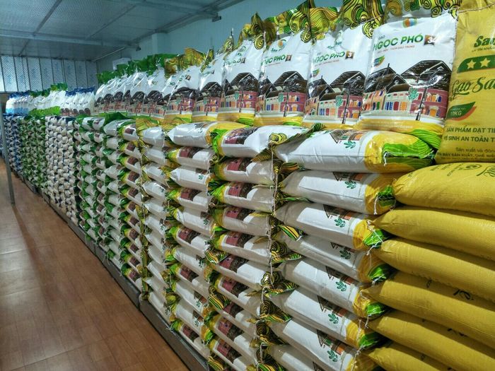 Hình ảnh Gạo sạch Sao Khuê – Biểu tượng của chất lượng và sự tinh khiết
