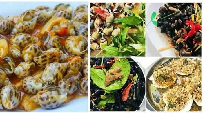 Khám phá hình ảnh đầu tiên về không gian ấm cúng và các món ốc đặc sản tại Quán Ốc Định Cư