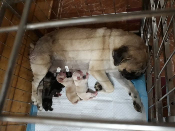 Không gian phòng khám hiện đại và thân thiện tại Thú Y My Pet