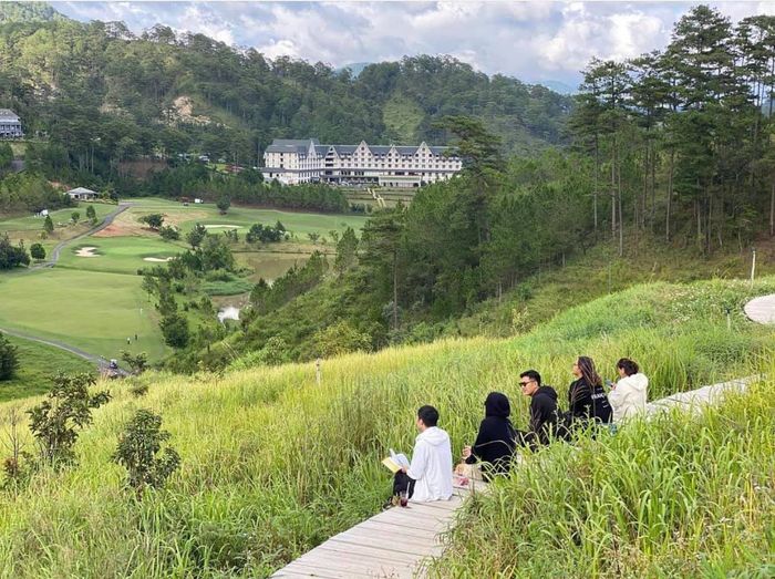 Hình ảnh The Wilder-nest chìm đắm trong sương mai