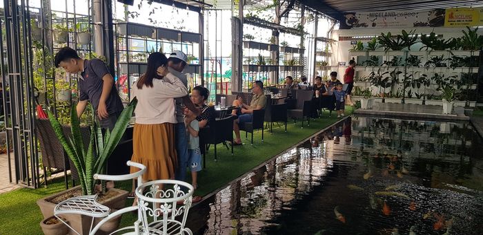 Góc check-in độc đáo giữa thiên nhiên tại Cà Phê Cá Koi Niceland