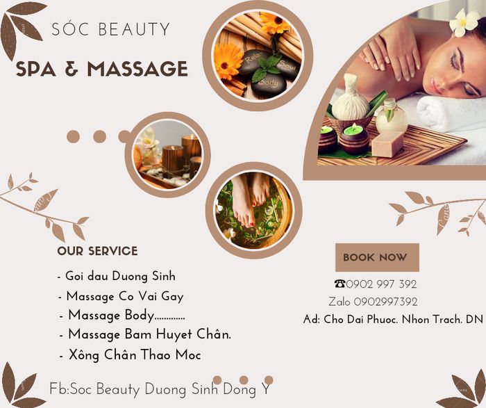 Sóc Beauty - Hình ảnh 2