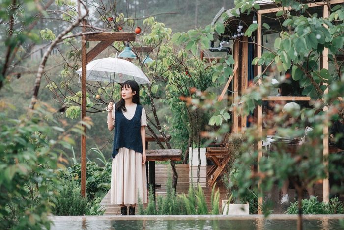 Khoảnh khắc bình minh vàng óng tại In The Forest