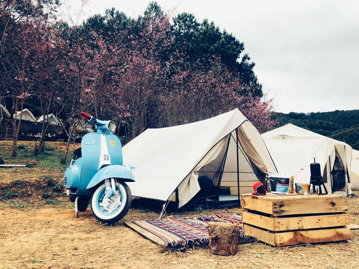 Trải nghiệm tuyệt vời tại PineForest Camping Đà Lạt