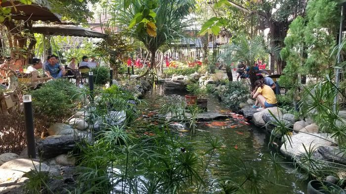 Không gian như tranh vẽ tại Cà Phê Cá Koi Hoa Phương Nam