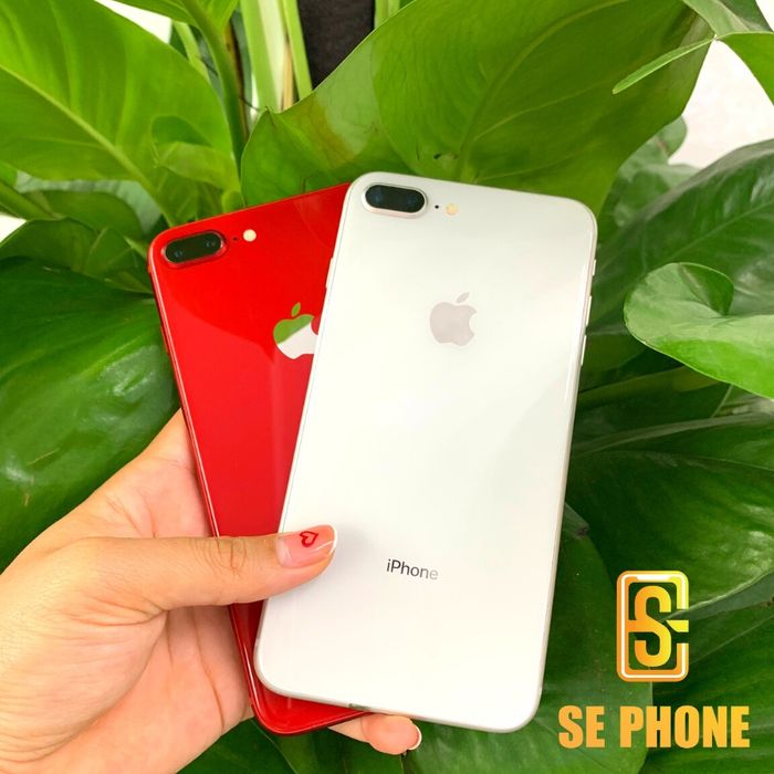 Góc trưng bày sản phẩm nổi bật tại SE PHONE Tam Kỳ