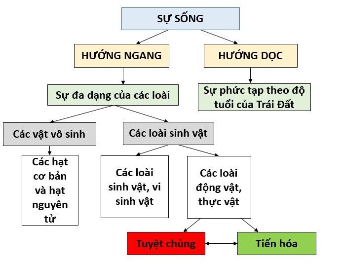 Minh họa (Nguồn từ internet) hình ảnh 1