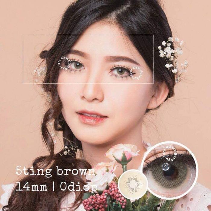 Hình ảnh bộ sưu tập đa dạng tại Contact Lens Cẩm Phả