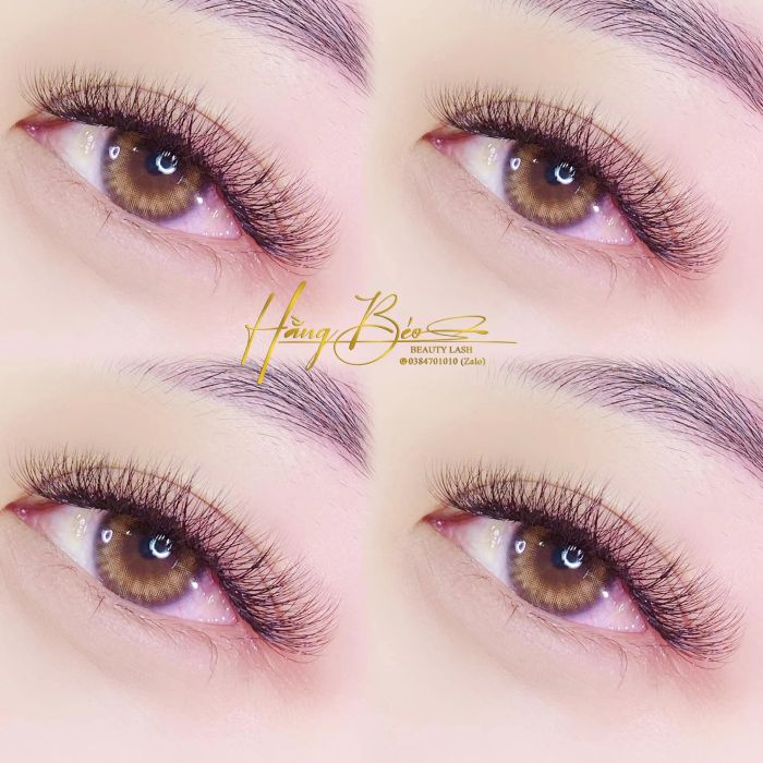 Hằng Béo Beauty Lashes ảnh 1