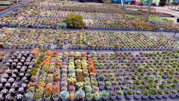 Hình ảnh tuyệt đẹp về Hoàng Dương Garden