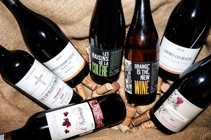 Không gian thưởng thức rượu sang trọng tại Vinobeer Vietnam